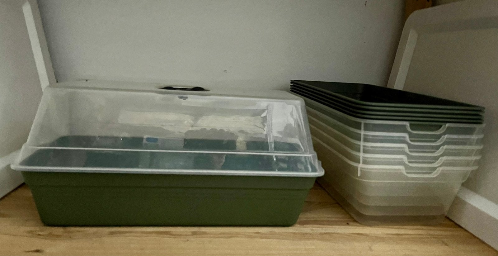 6 groene kweekbakken / mini kweekkassen met deksel, Ophalen of Verzenden, Zo goed als nieuw, Kunststof, Minder dan 30 cm