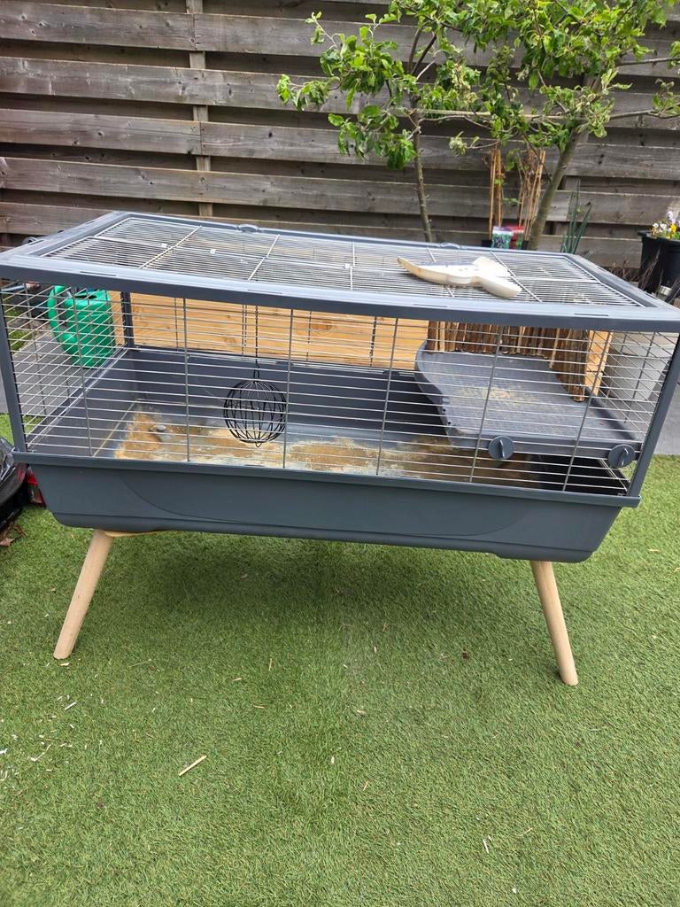 Gratis caviakooi, Dieren en Toebehoren, Knaagdieren en Konijnen | Hokken en Kooien, Ophalen, Gebruikt, Kooi, Minder dan 60 cm