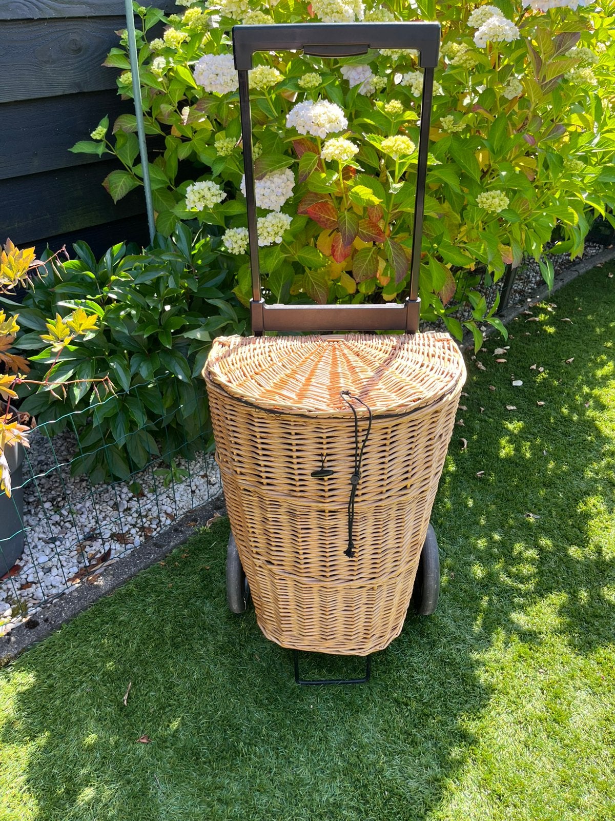 Boodschappen Trolly van Secc, Ophalen, Wieltjes, 20 tot 30 cm, Bruin