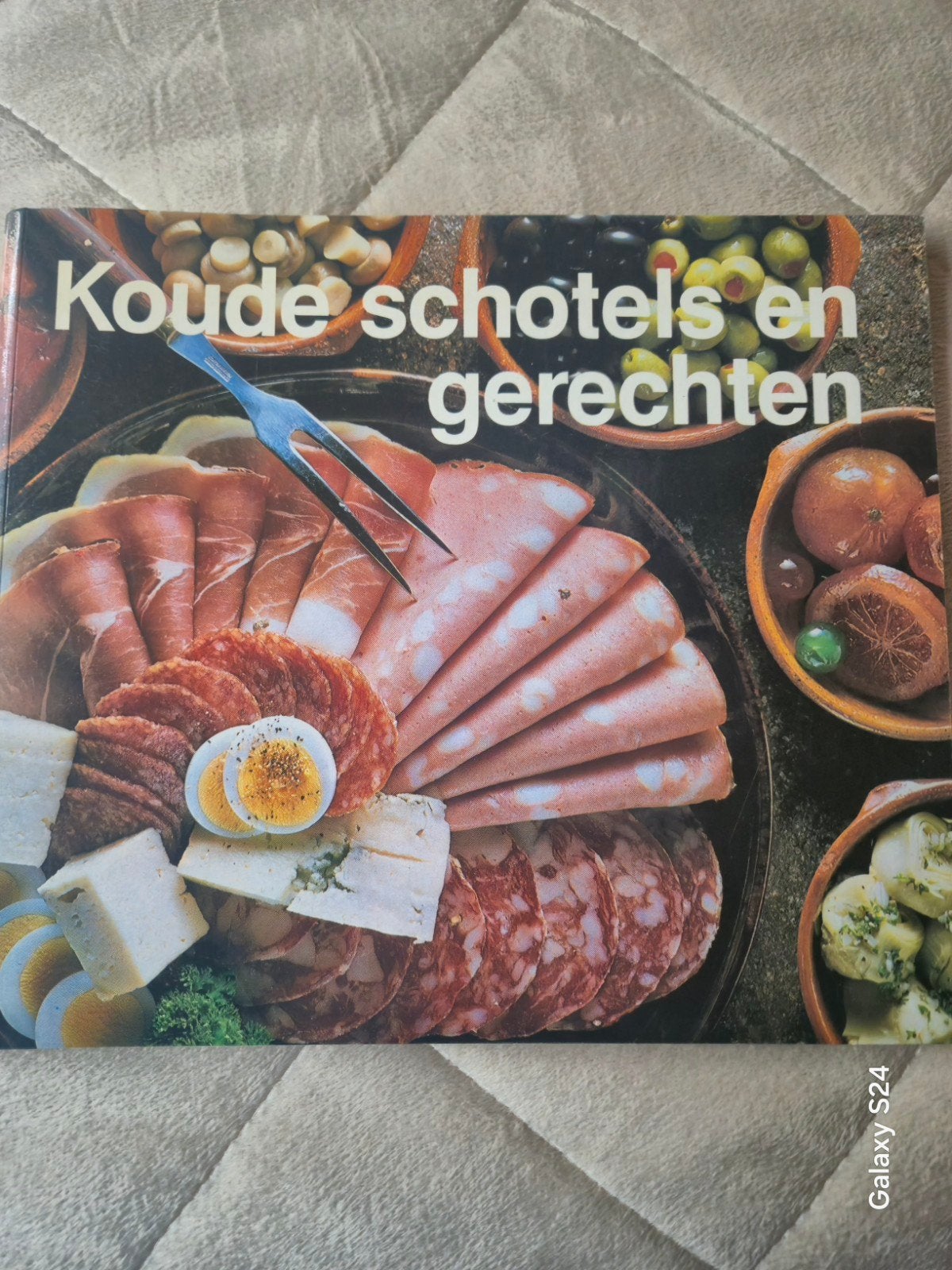 Koude Schotels en Gerechten Kookboek, Boeken, Ophalen of Verzenden, Gelezen, Overige typen