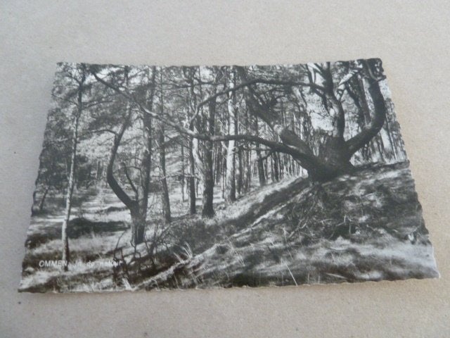 Ommen circa 1965 In de natuur, Ophalen of Verzenden, 1960 tot 1980, Ongelopen, Overijssel