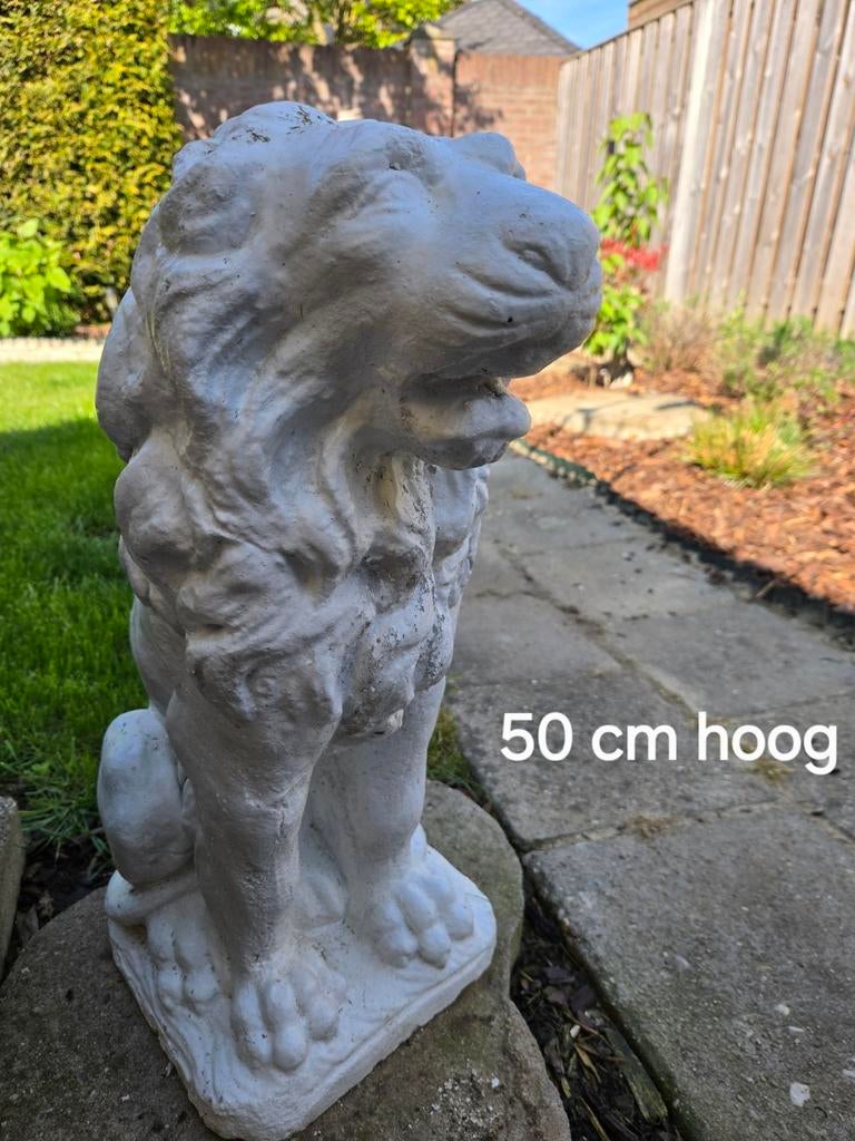 Leeuw beton 50 cm- 25 euro, Tuin en Terras, Tuinbeelden, Ophalen