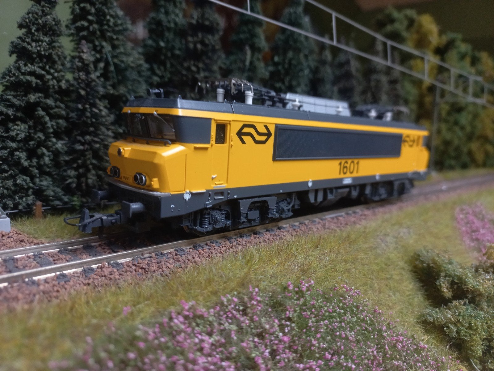 Roco 1601, Ophalen of Verzenden, Roco, Gelijkstroom, Locomotief