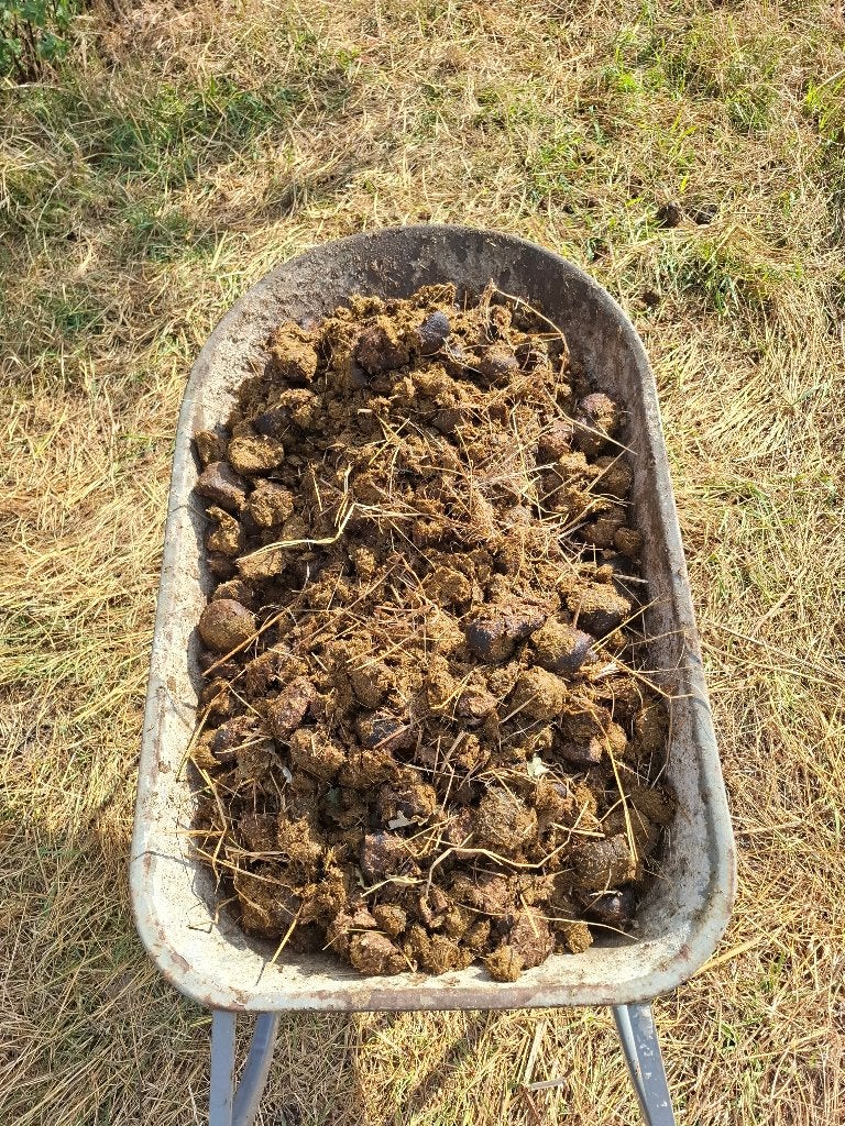 Pure paardenmest, Tuin en Terras, Aarde en Mest, Ophalen, Mest