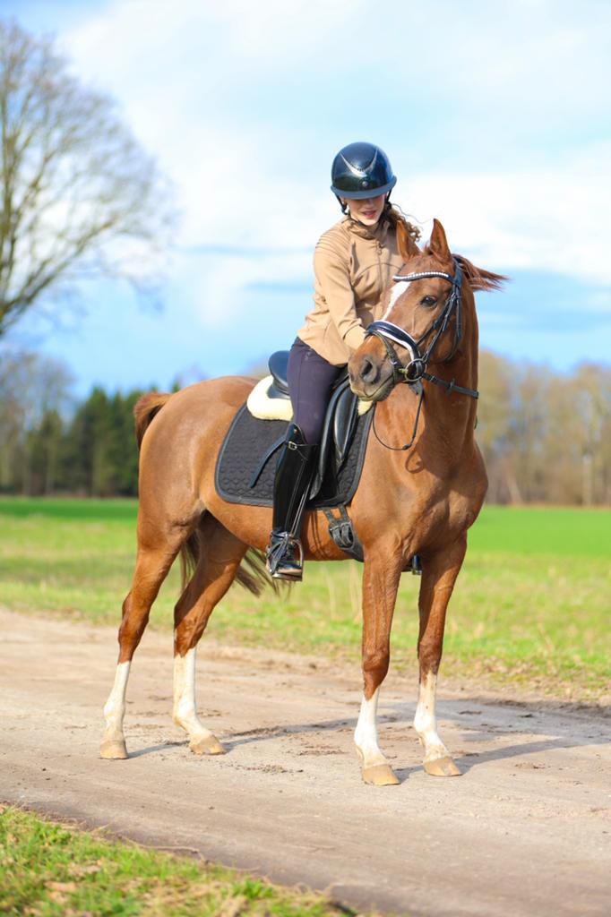 Lieve D-Pony te koop, Dieren en Toebehoren, Merrie, Dressuurpony, M, 11 jaar of ouder