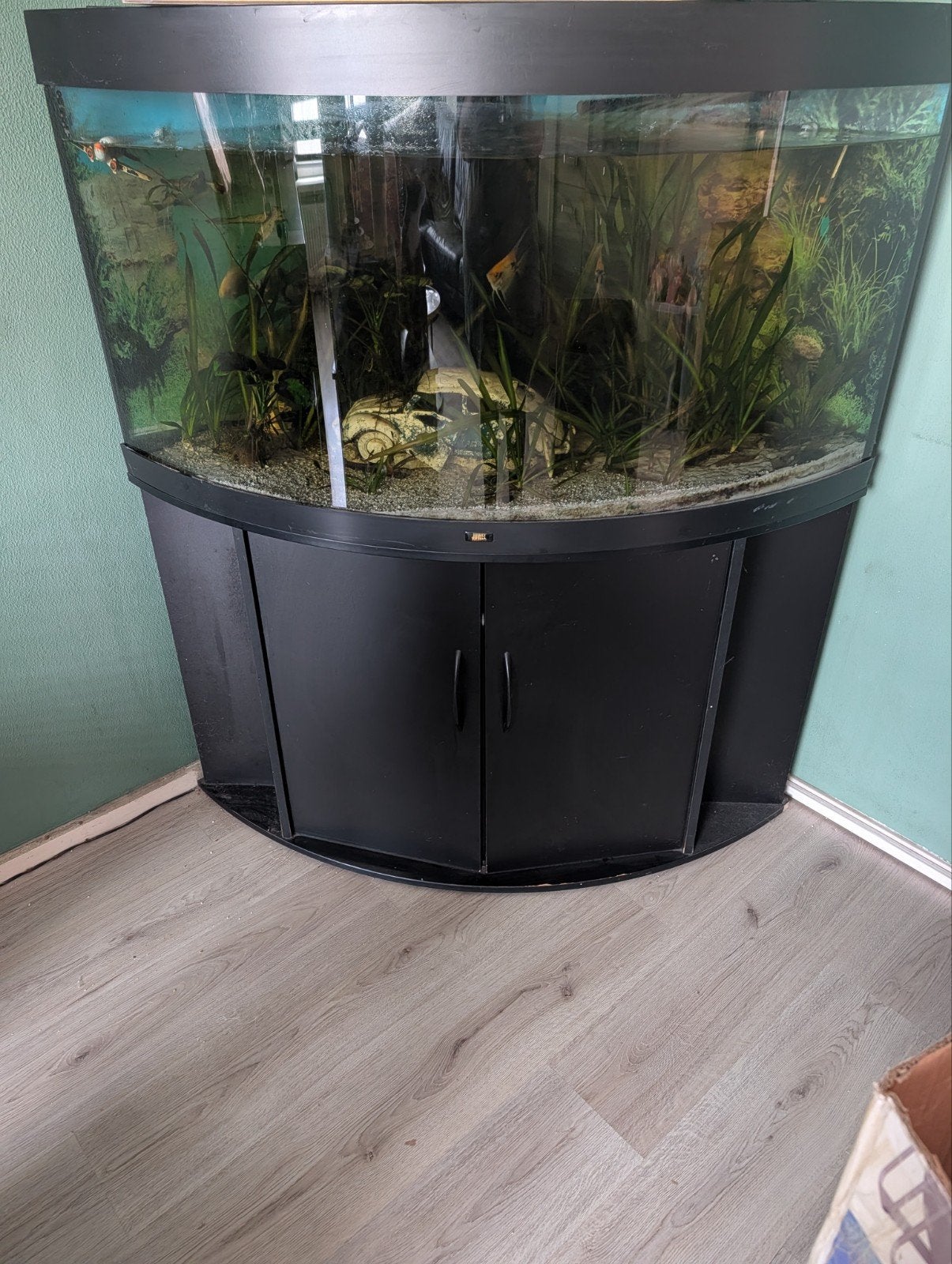 hoek aquarium, Dieren en Toebehoren, Ophalen, Gebruikt, Grind, Zand of Voedingsbodem