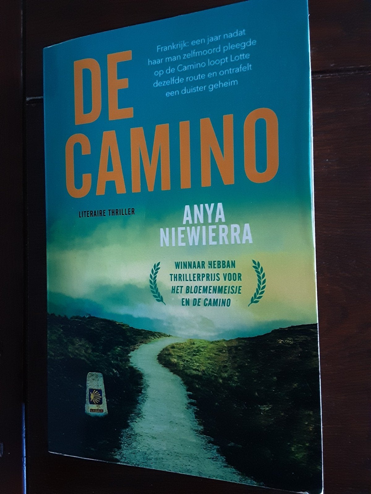 Boek DE CAMINO., Boeken, Ophalen of Verzenden
