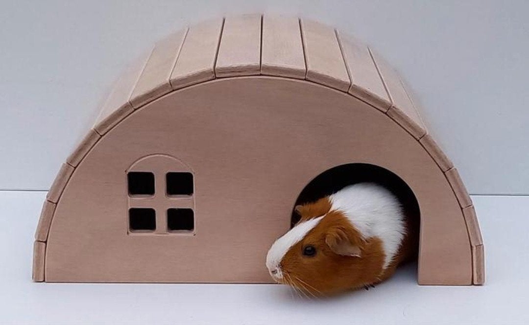 Nieuwe knaagdieren huisjes/ kooitjes/ nachthok, Dieren en Toebehoren