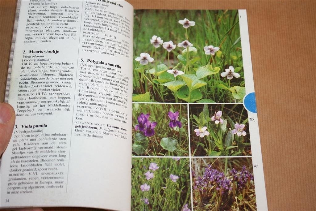 Elseviers Bloemengids in Kleur — Rijk Geïllustreerd, Boeken, Ophalen of Verzenden, Gelezen, Vogels
