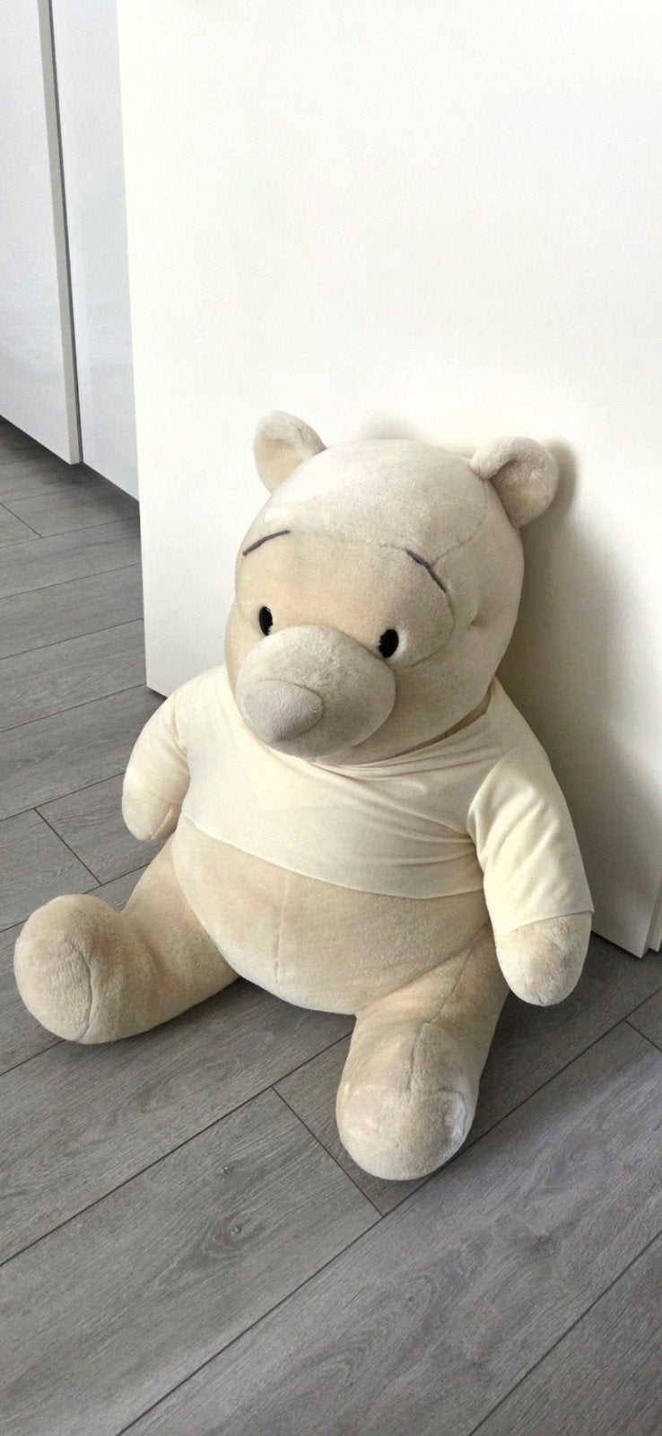 ️ Disney Winnie de Poeh-knuffel, Ophalen, Winnie de Poeh of vrienden, Zo goed als nieuw, Knuffel