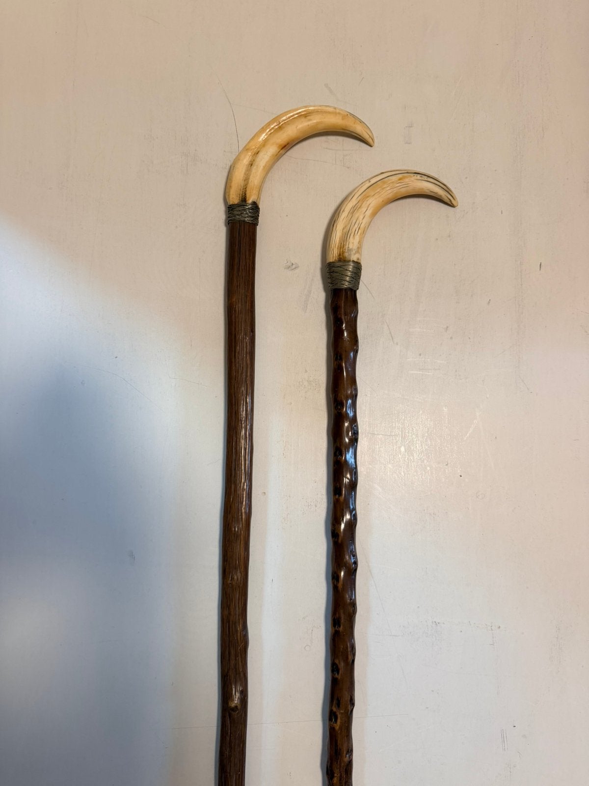2 Antique gnarled wood stick with wild boar tusk handle., Ophalen of Verzenden, Zo goed als nieuw