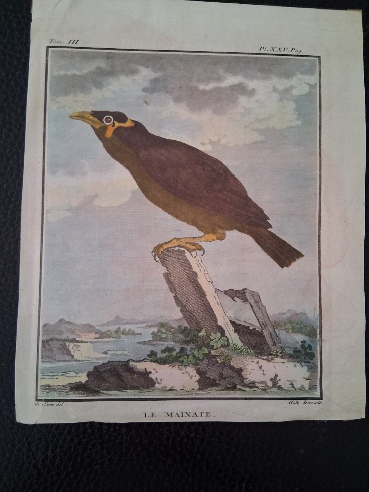 1775 beo.Hulk/Buffon, Ophalen of Verzenden
