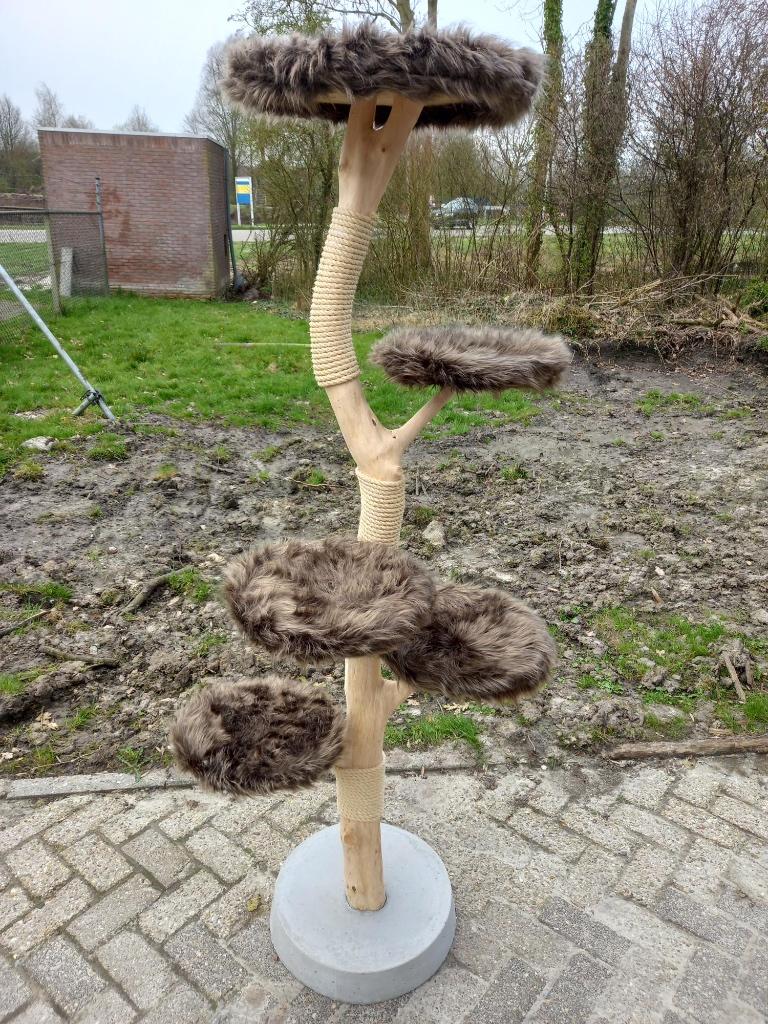 krabpaal, klimboom, boomstam krabpaal, Ophalen, Nieuw, Krabpaal