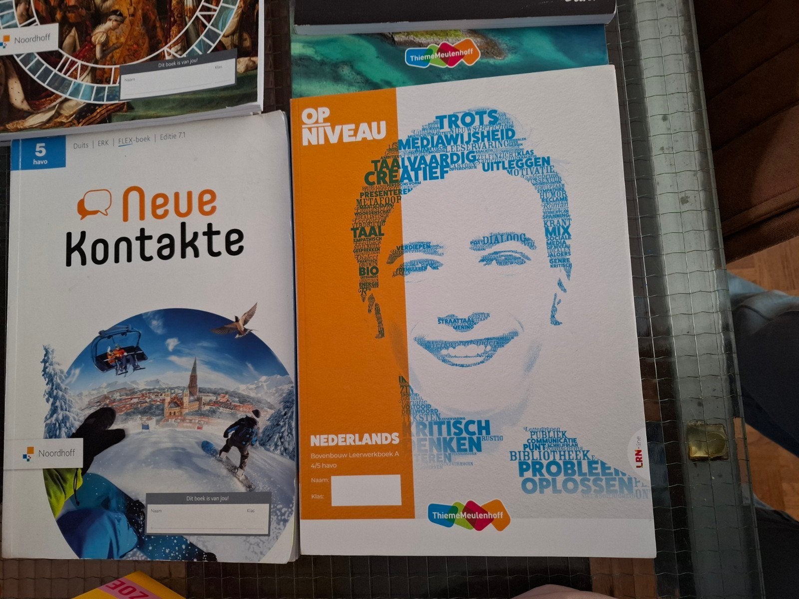 Gratis! schoolboeken HAVO/VWO - Nederlands, Duits, Geschiede, Boeken, Ophalen of Verzenden, Gelezen, HAVO, Nederlands