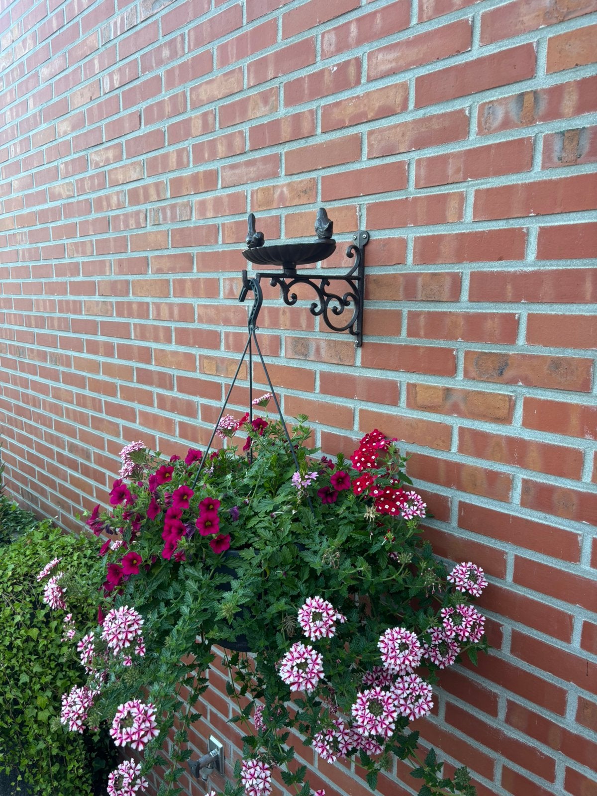 Vogelschaal, Tuin en Terras, Vogelhuisjes en Vogelbaden, Ophalen of Verzenden, Nieuw
