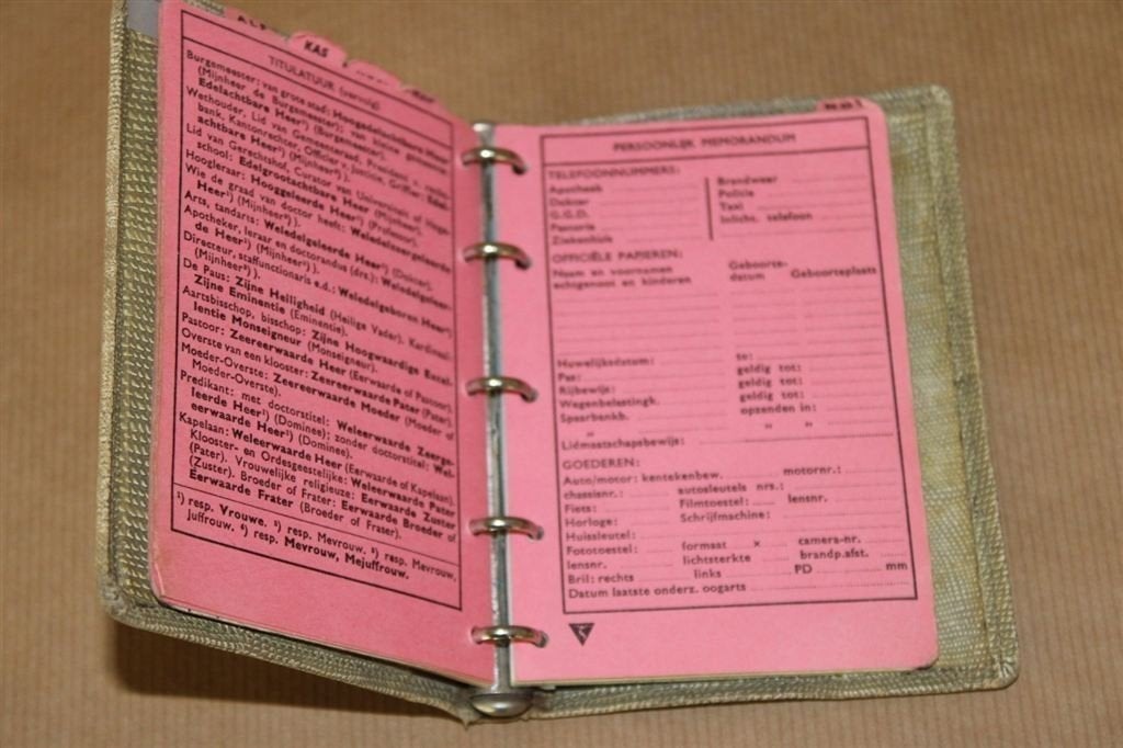 Succes-Agenda Lady 1966, Ophalen of Verzenden, Gelezen