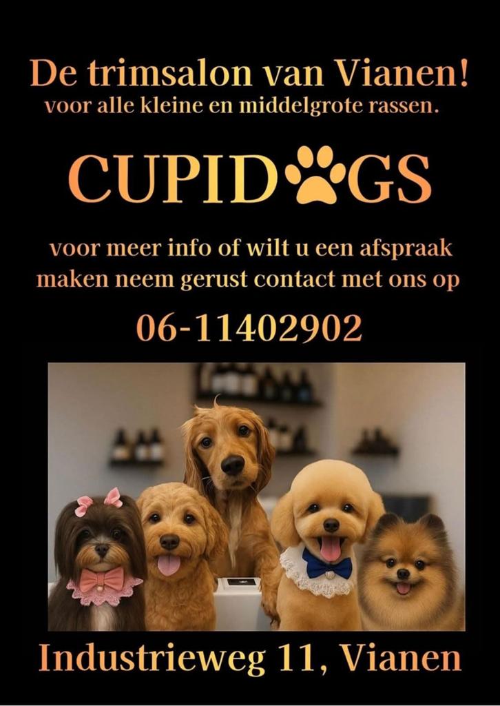 Trimsalon heeft nog plek!, Dieren en Toebehoren, Honden-accessoires, Nieuw, Ophalen