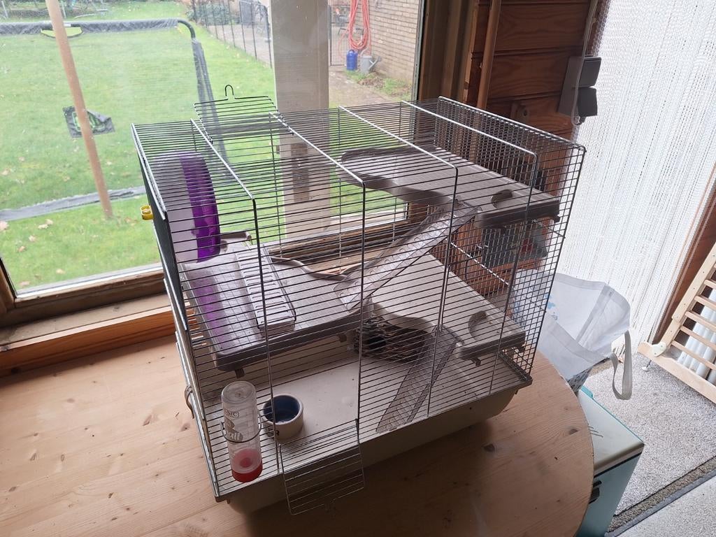 Hamsterkooi, Dieren en Toebehoren, Knaagdieren en Konijnen | Hokken en Kooien, Ophalen, Kooi, Hamster
