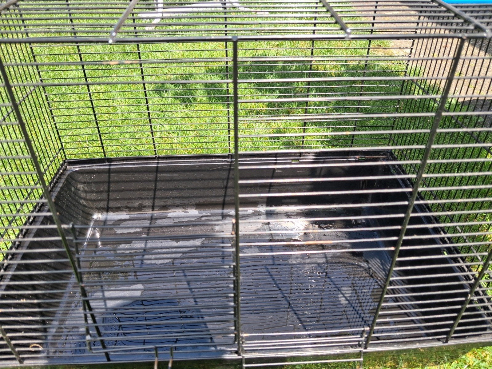 Hamster of voggel kooi, Dieren en Toebehoren, Minder dan 60 cm, Minder dan 75 cm, Ophalen of Verzenden, Zo goed als nieuw