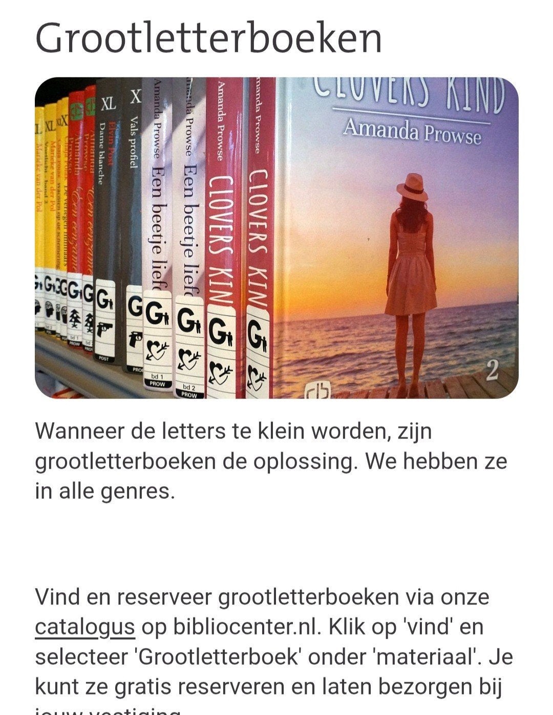 Groot letterboeken, Ophalen of Verzenden
