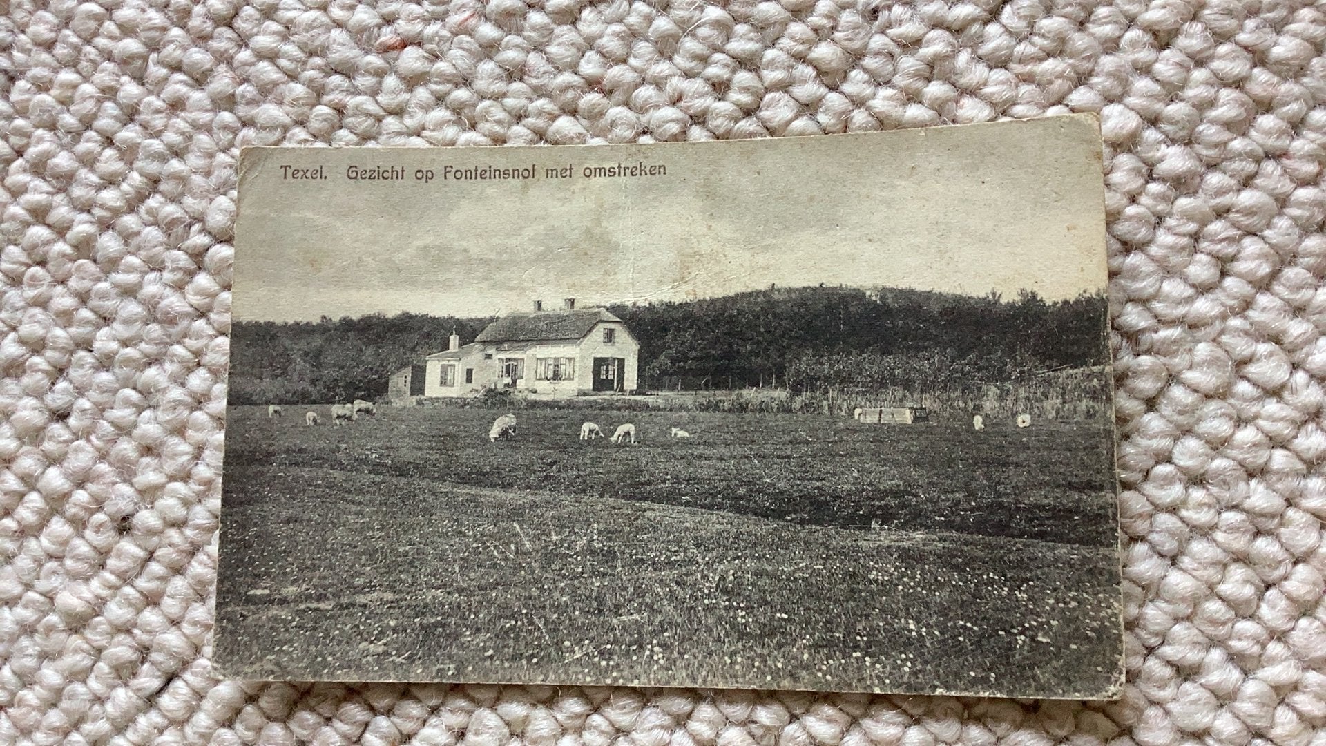 Ansichtkaart Texel Gezicht op  Fonteinsnol met omstreken 986, Ophalen of Verzenden, 1920 tot 1940, Gelopen, Waddeneilanden