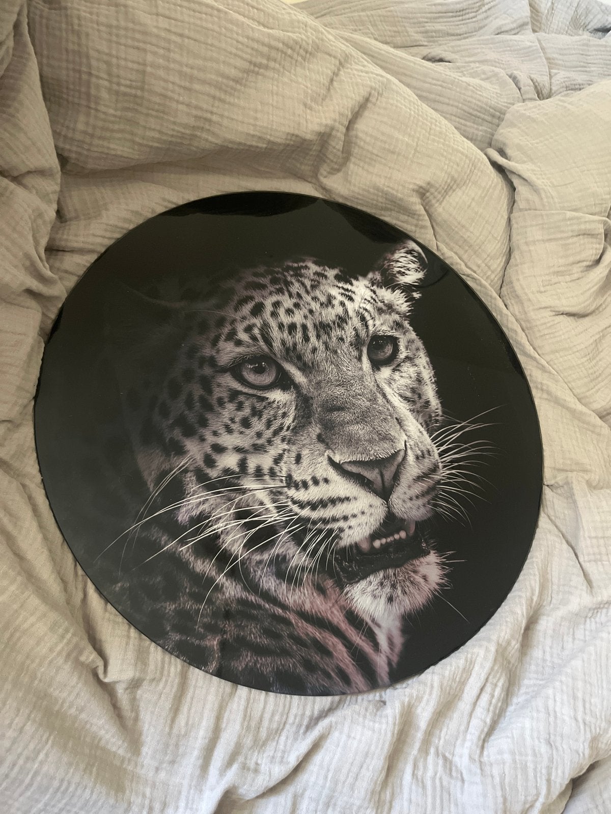 Glas art wanddecoratie: Tijger, Leeuw, Panter, Ophalen, Zwart, Nieuw, Glas
