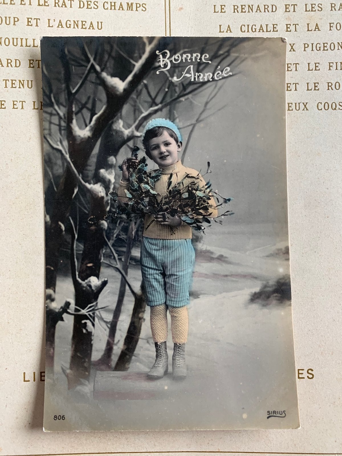 Bonne Année - jongetje met maretakken (EL), Ophalen of Verzenden, Voor 1920, Gelopen, Feest(dag)