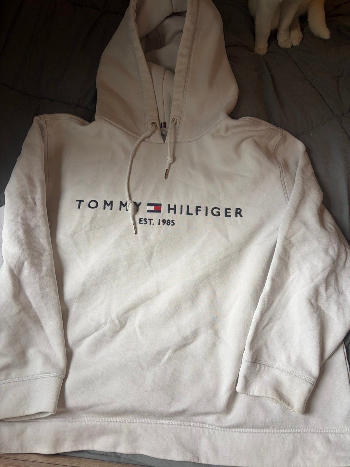 Leuke hoodie, Ophalen, Gedragen, Maat 46/48 (XL) of groter, Wit