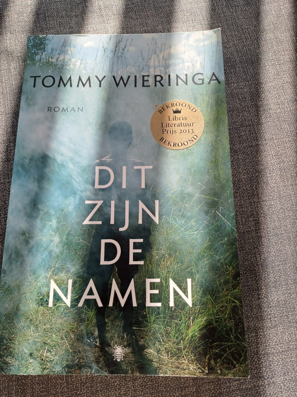Dit zijn de namen - Tommy Wieringa (Bekroond), Ophalen of Verzenden, Gelezen, Tommy Wieringa, Nederland
