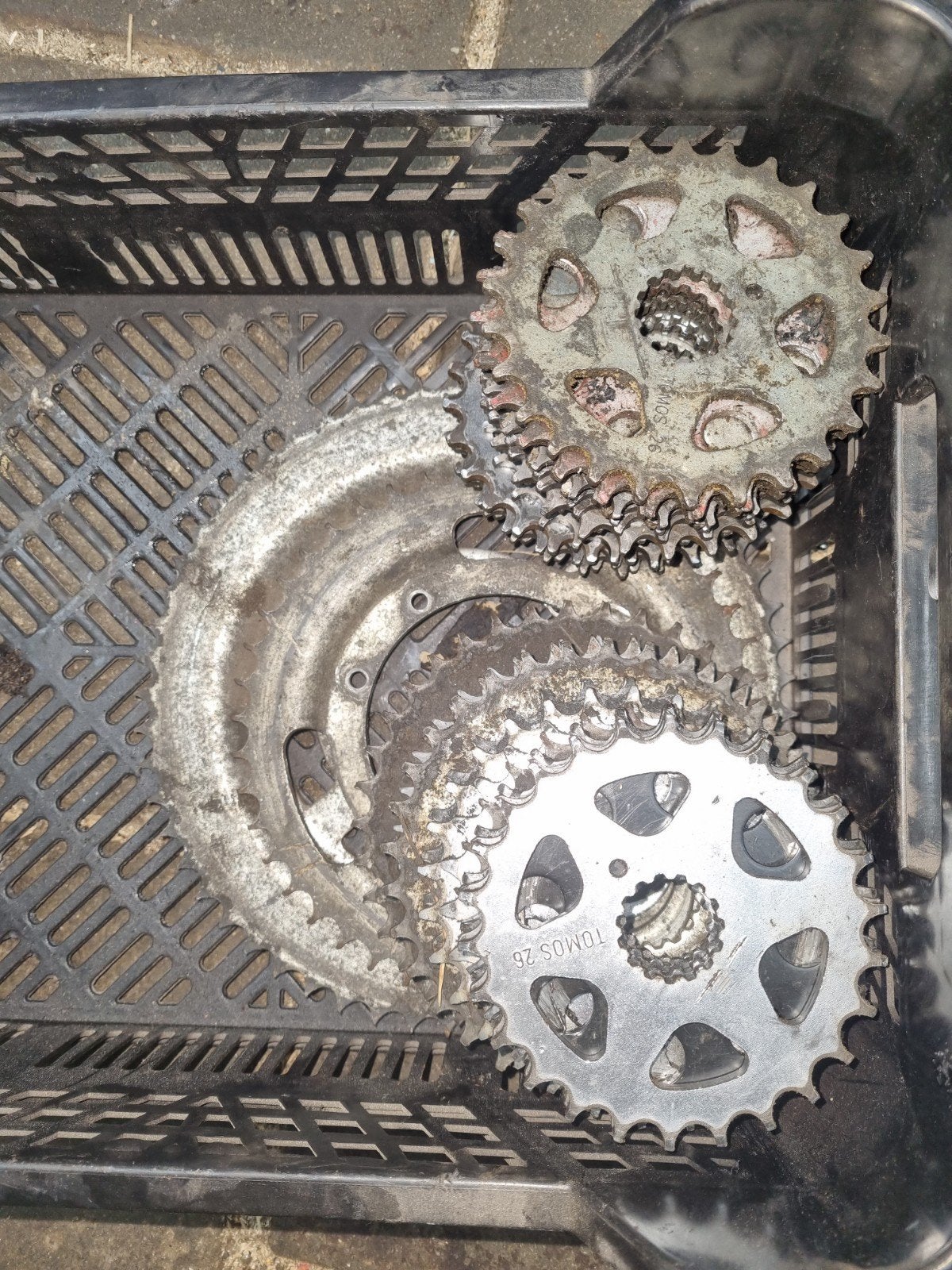 34x Tomos tandwiel €15, Ophalen of Verzenden, Tomos, Tomos, Tomos