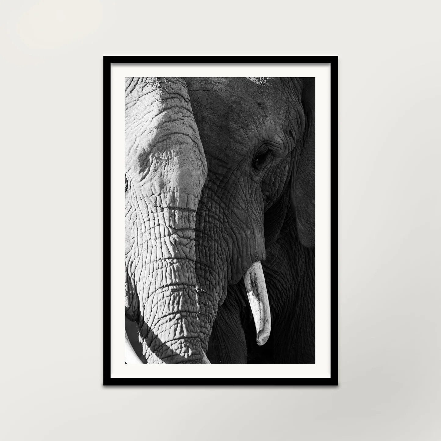 Fine Art Print Olifanten Uganda — Zwart-wit, Ophalen of Verzenden, Foto, Fotografie, Achter glas