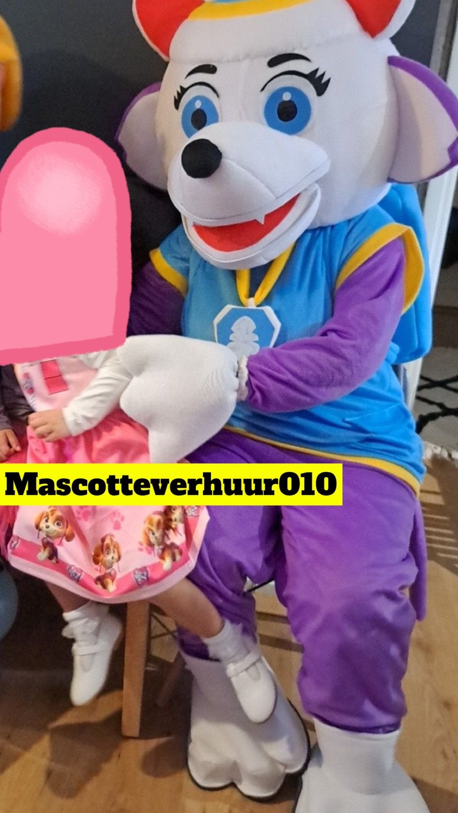 Paw Patrol Everest mascotte te huur, Ophalen, Zo goed als nieuw, Verjaardag