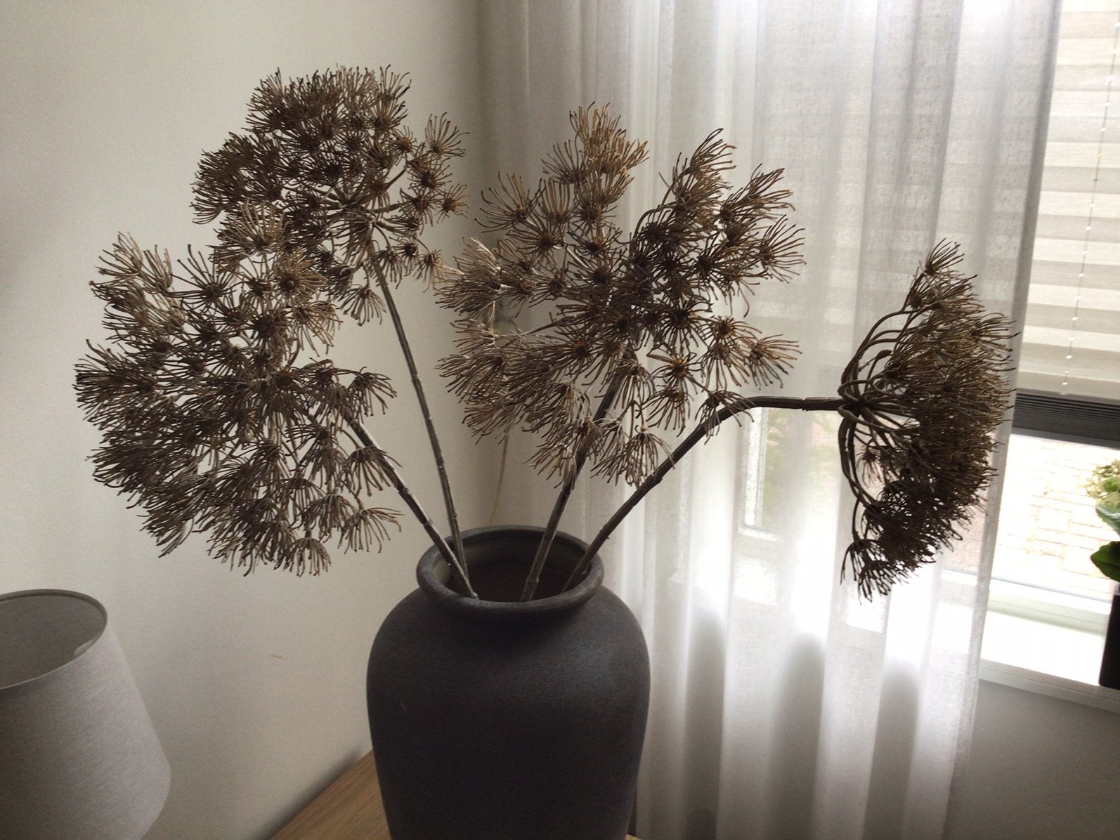 Kunst berenklauw (heracleum), Ophalen, Zo goed als nieuw