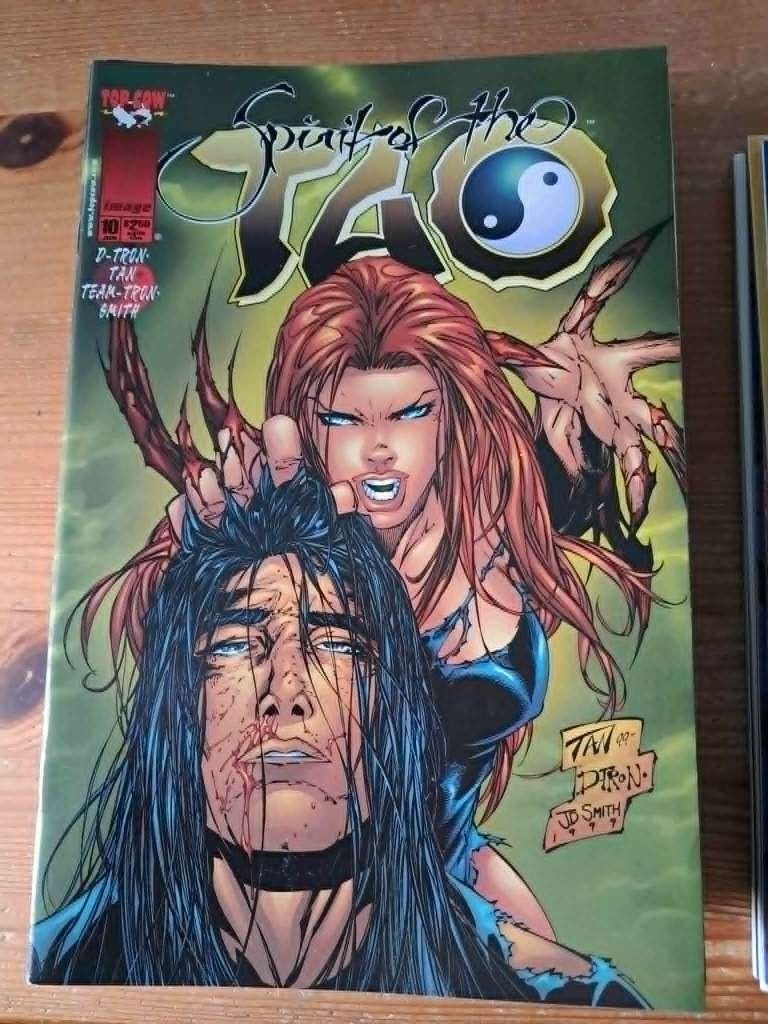 Spirit of the tao #10, Boeken, Strips | Comics, Amerika, Tan., Ophalen, Gelezen
