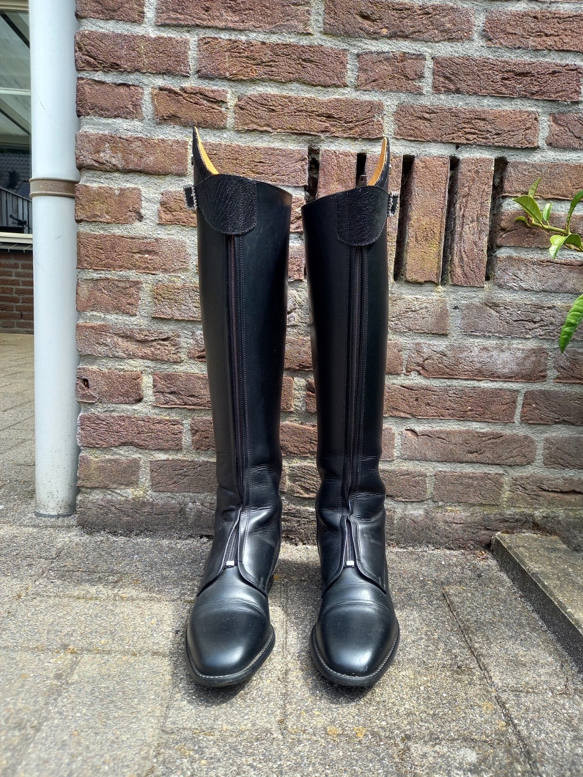 Derby polo rijlaarzen 40, Ophalen of Verzenden, Zo goed als nieuw, Dressuur, Schoeisel