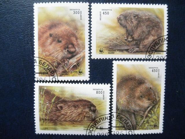 Postzegels dieren Wit Rusland 1995 bevers - cat.w. 1,50., Ophalen of Verzenden, Gestempeld, Dier of Natuur