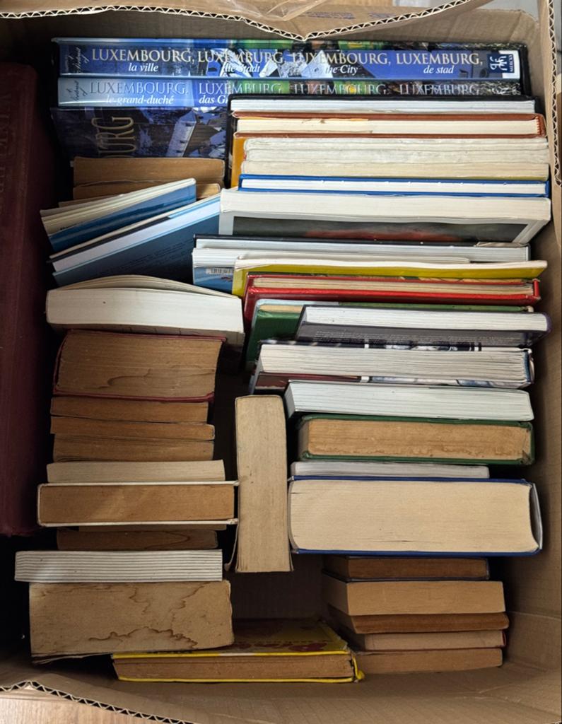Diverse boeken, Boeken, Reisgidsen, Gelezen, Reisgids of -boek, Europa, Overige merken, Ophalen of Verzenden