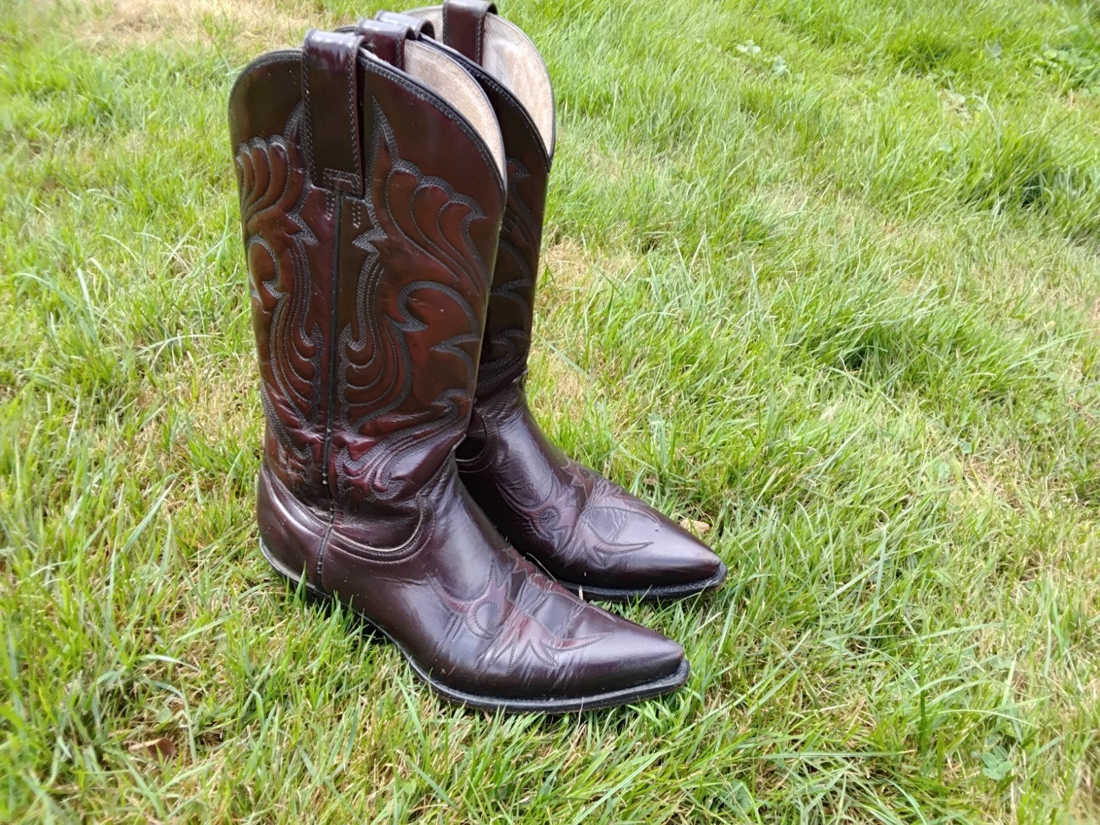cowboylaarzen  merk Hacienda, Kleding | Dames, Hoge laarzen, Overige kleuren, Ophalen of Verzenden, Hacienda