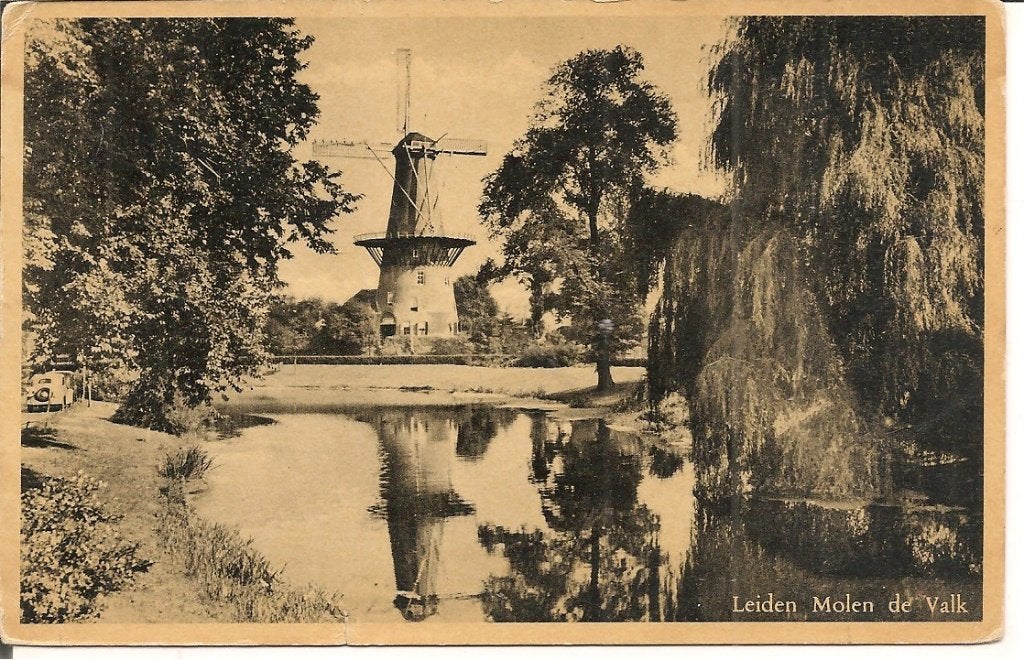 Oude ansichtkaart Leiden Molen de Valk 1954, Ophalen of Verzenden, 1940 tot 1960, Gelopen, Zuid-Holland