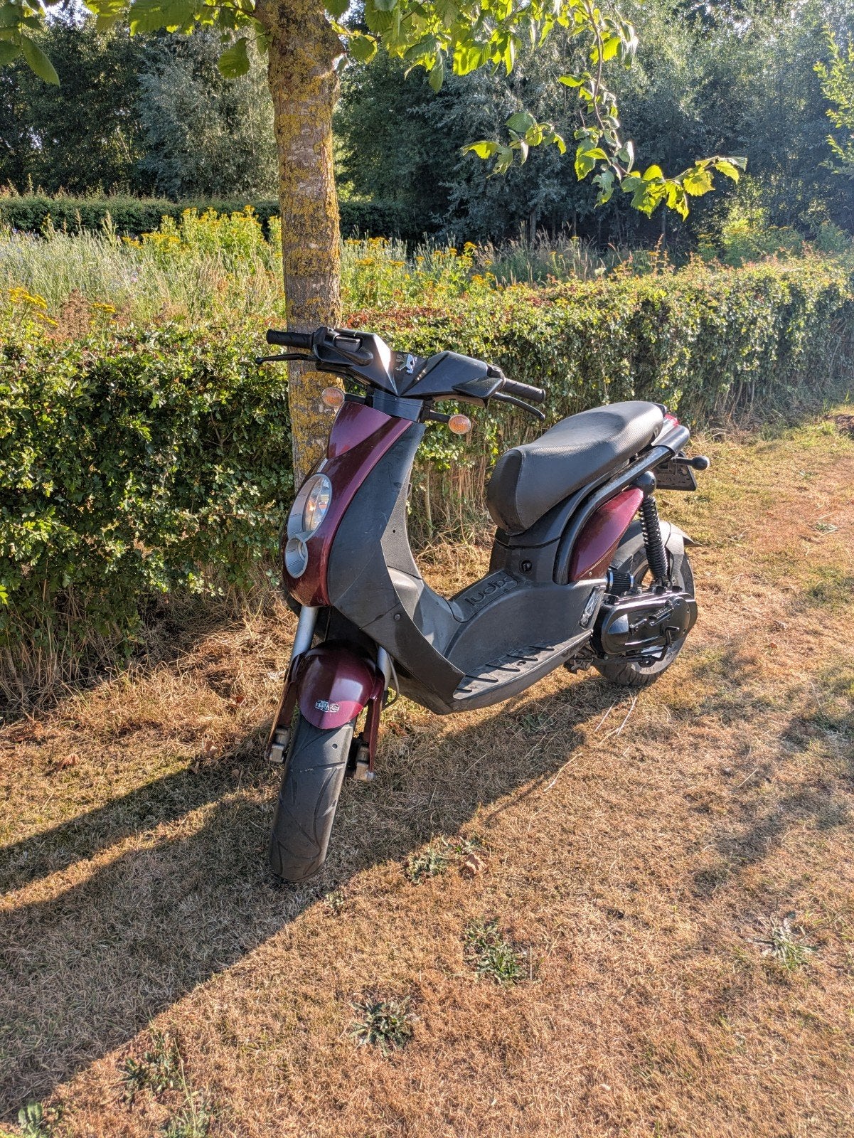 scooters gezocht, Fietsen en Brommers, Snorfietsen en Snorscooters, Ophalen, Benzine, Overige merken