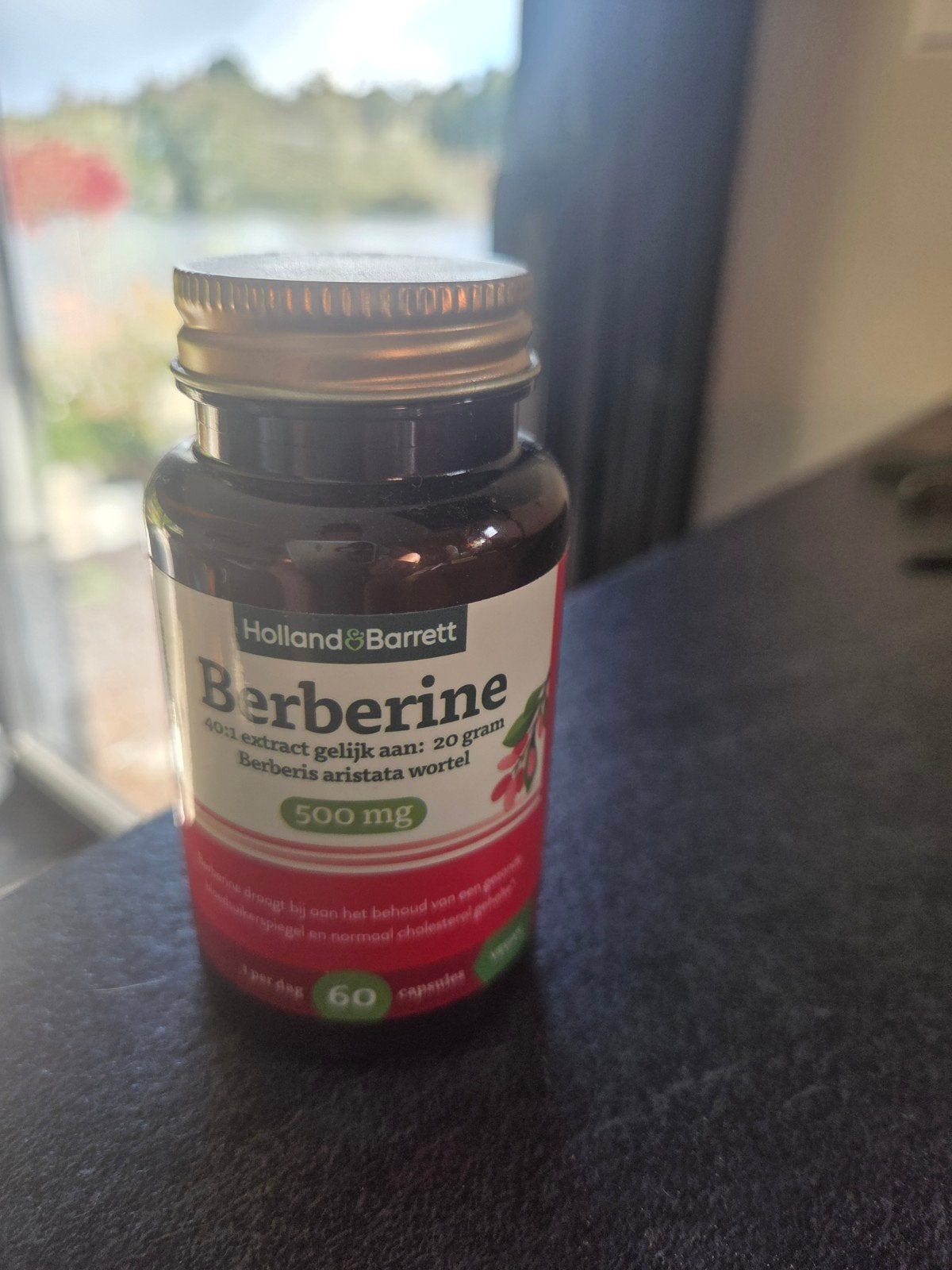 Nieuw Holland & Barrett Berberine 500mg - 60 capsules, Ophalen of Verzenden, Nieuw, Overige typen