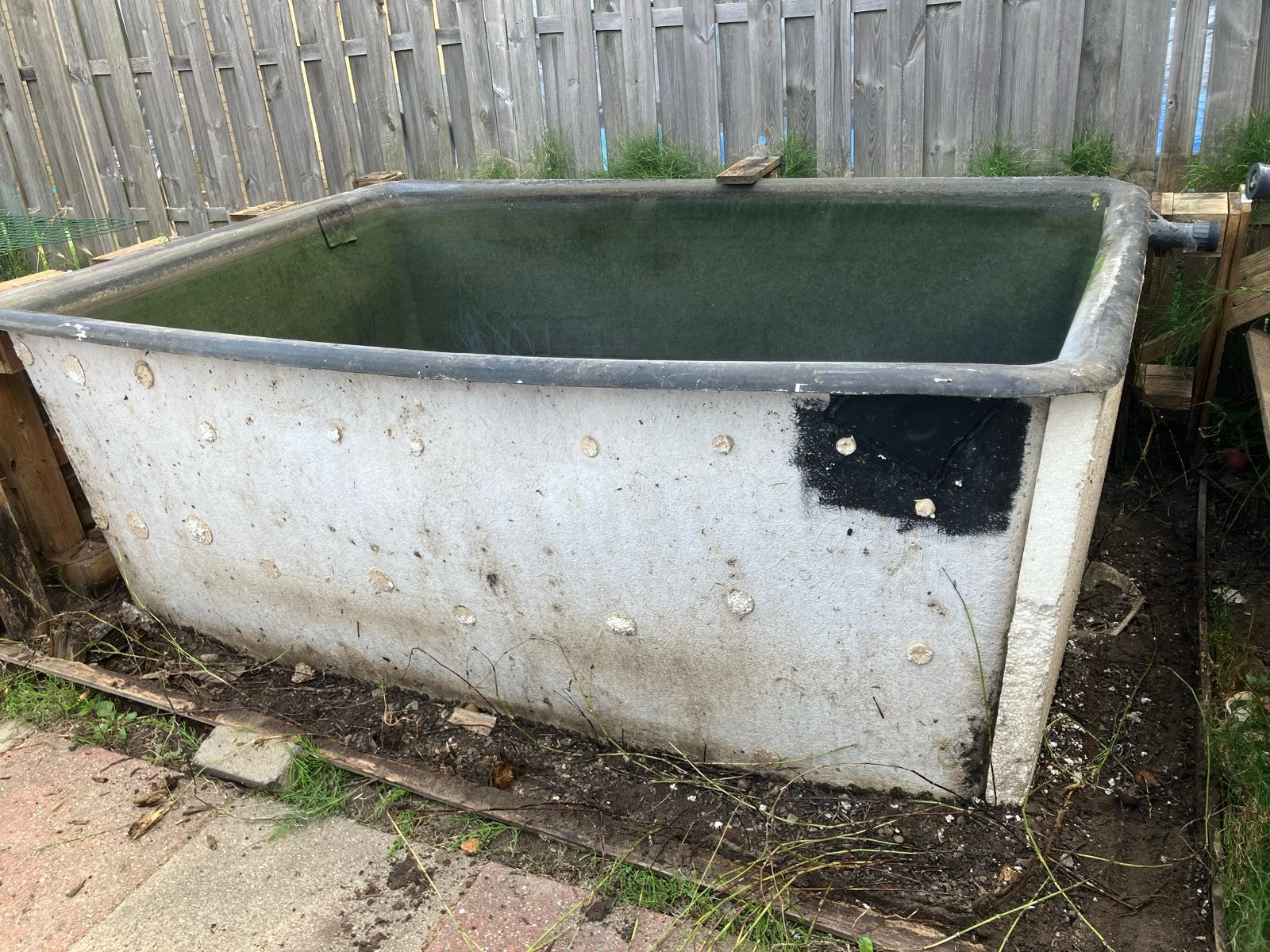 Quarantaine bak met filter, Tuin en Terras, Vijvers, Ophalen of Verzenden, Gebruikt