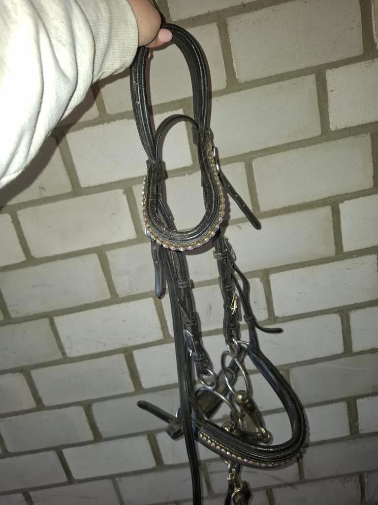Harry horse hoofdstel met pessoa bit maat cob, Dieren en Toebehoren, Ophalen of Verzenden, Dressuur