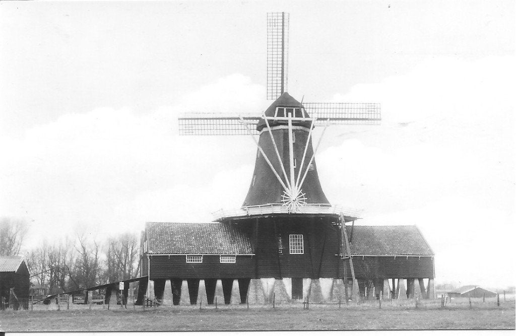 Ansichtkaart Zaagmolen 'De Rat' IJlst, Friesland (1975), Ophalen of Verzenden, 1960 tot 1980, Ongelopen, Friesland
