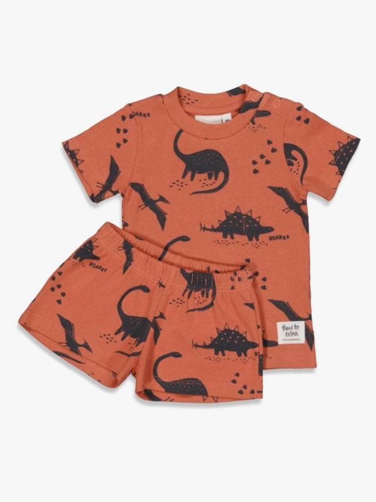 Feetje Pyjama Dino maat 62,68,74,80,86 en 152, Nacht- of Onderkleding, Nieuw, Ophalen of Verzenden, Feetje