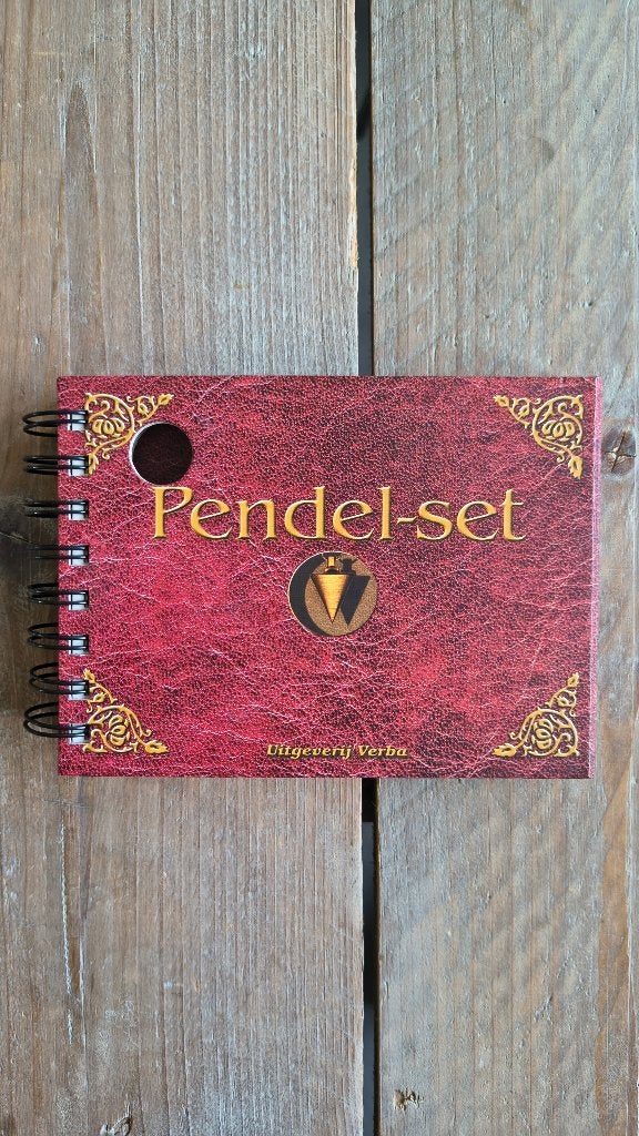 Pendel-set - M. Schirner - 9789055133963 - 9055133965, Boeken, Tarot of Kaarten leggen, M. Schirner, Ophalen of Verzenden, Zo goed als nieuw