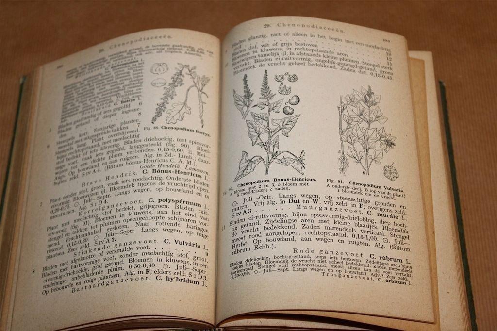 Geïllustreerde Schoolflora voor Nederland — Heukels 1949, Boeken, Natuur, Ophalen of Verzenden, Gelezen
