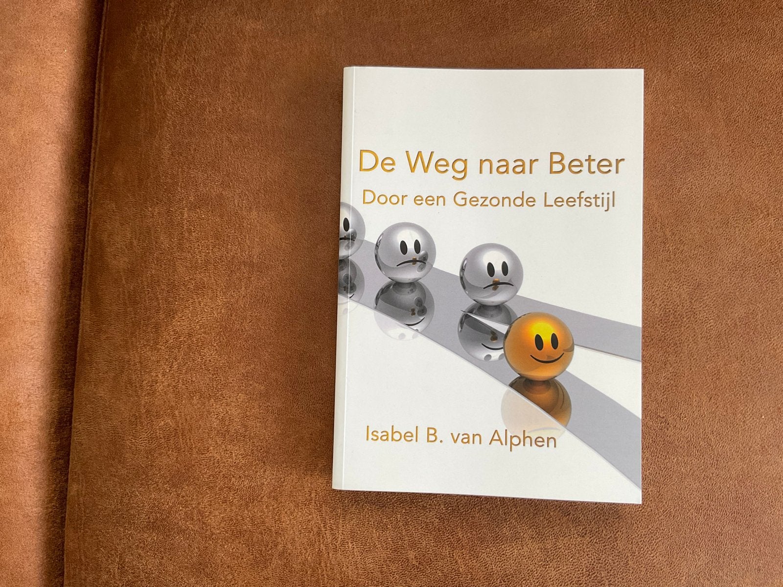 De Weg naar Beter: Door een Gezonde Leefstijl, Ophalen of Verzenden, Nieuw, Gezondheid en Conditie
