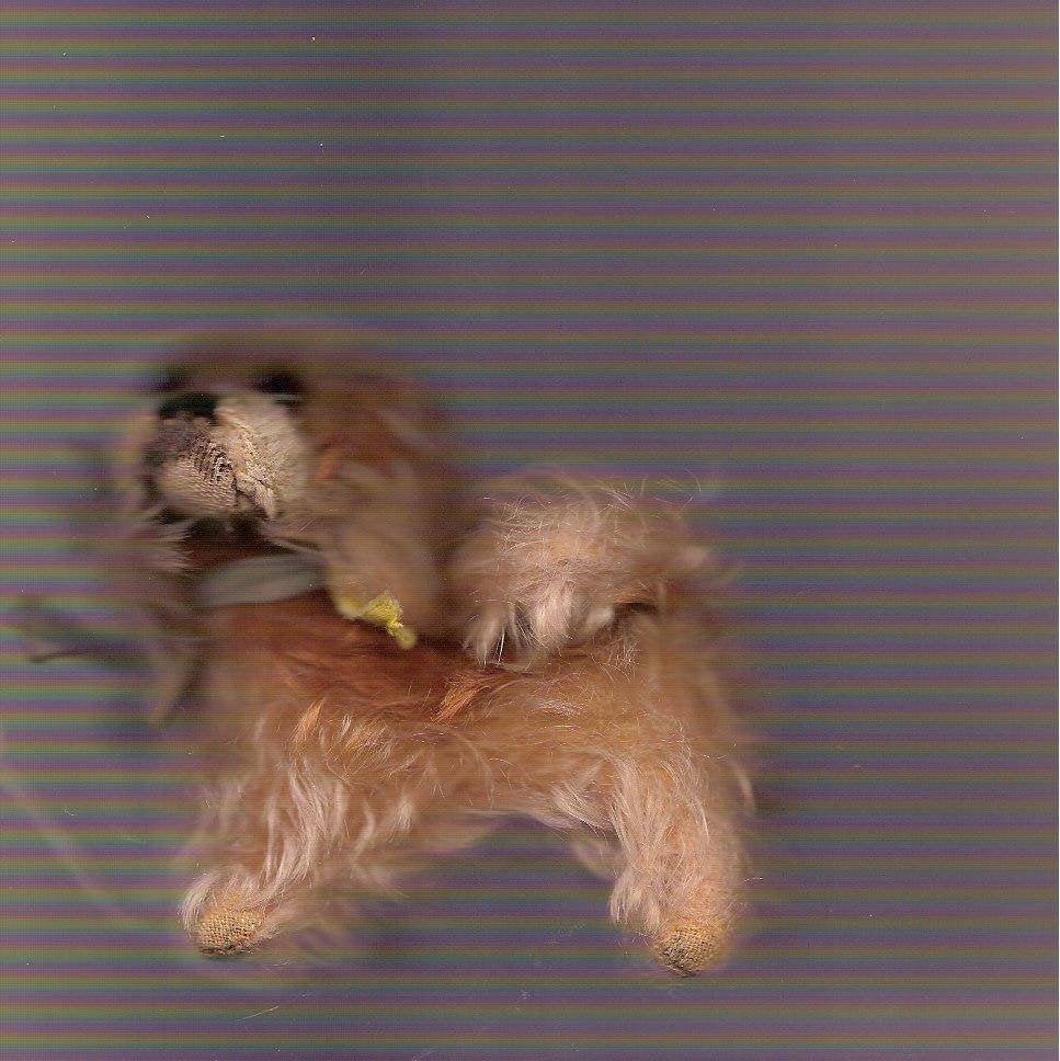 steiff adv 14 hondje, Antiek en Kunst, Ophalen