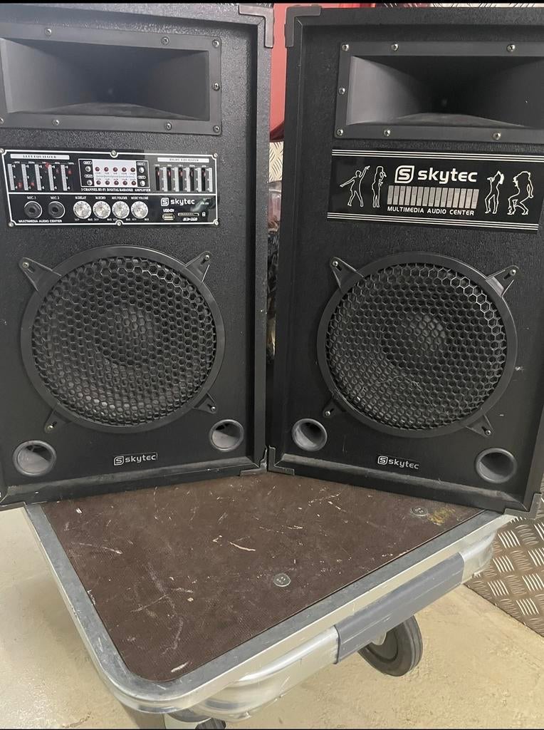 Skytec SPA-1000 Speakers - Ideaal voor Feestjes & Tuin, Ophalen, Gebruikt, Overige merken